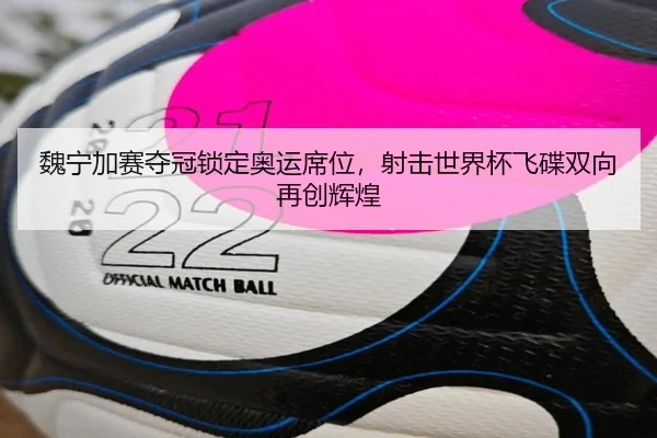 wei-ning-jia-sai-duo-guan-suo-ding-ao-yun-xi-wei-she-ji-shi-jie-bei-fei-die-shuang-xiang-zai-chuang-hui-huang-2-492.jpg