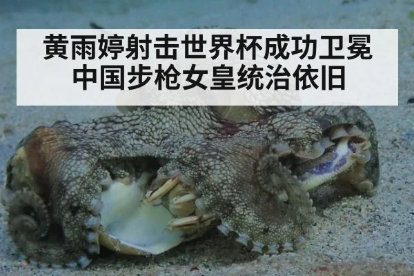 黄雨婷射击世界杯成功卫冕中国步枪女皇统治依旧